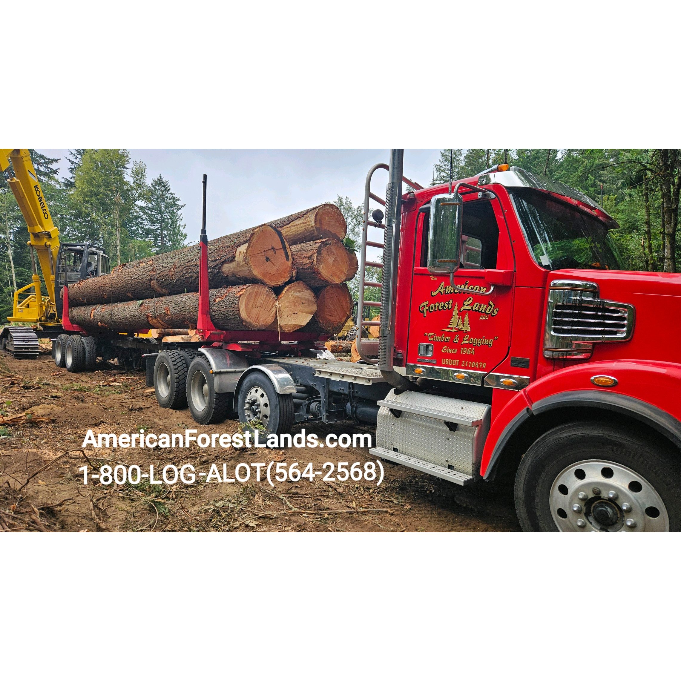American Forest Lands Washington Logging Company LLC