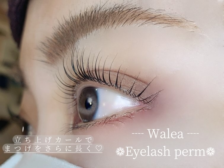 Images Walea 大宮