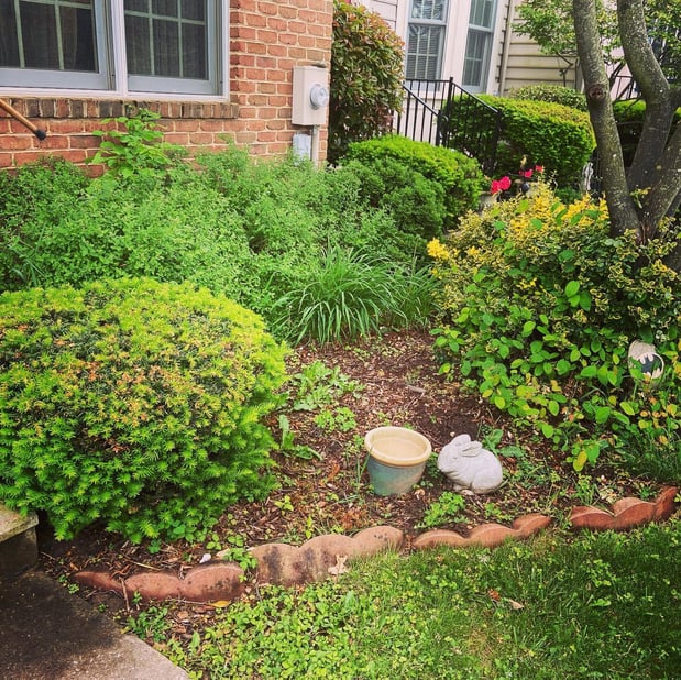 Images Barr Landscaping