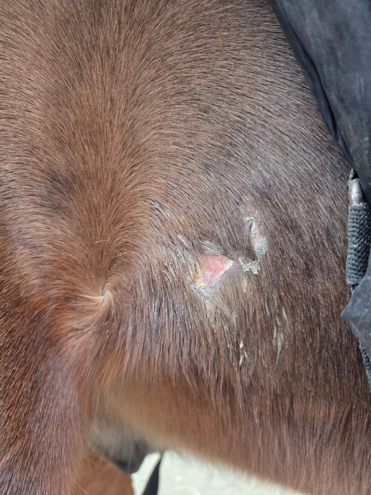 NANO Center CellCare therapie Bioresonanz Daniela Siegmund in Essen