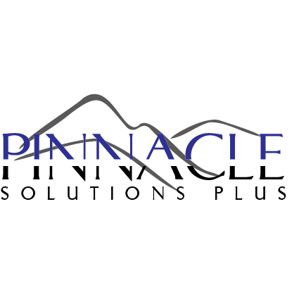 Pinnacle Solutions Plus: Merchant Services + Reputation Management Logo