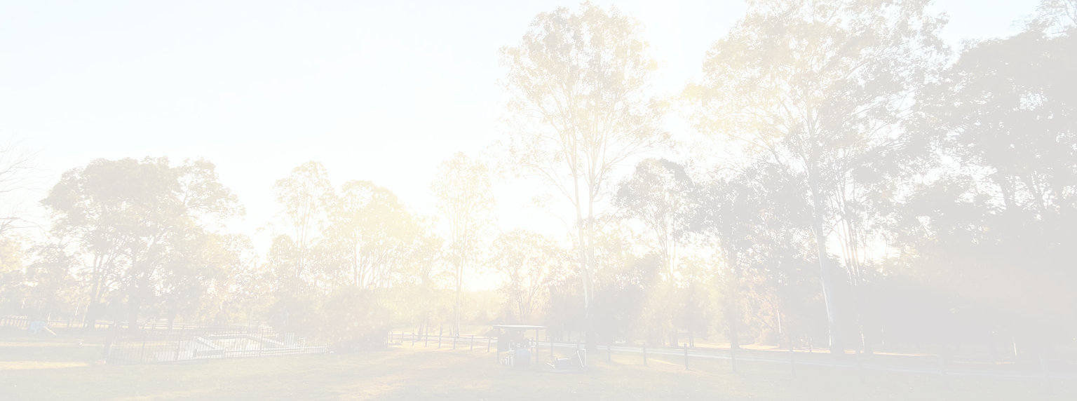 Sun shining through trees in a public park.
