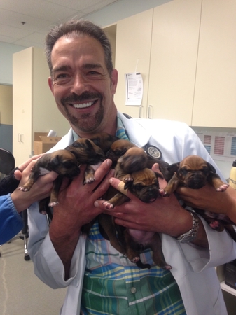 Images VCA Bridgeport Animal Hospital