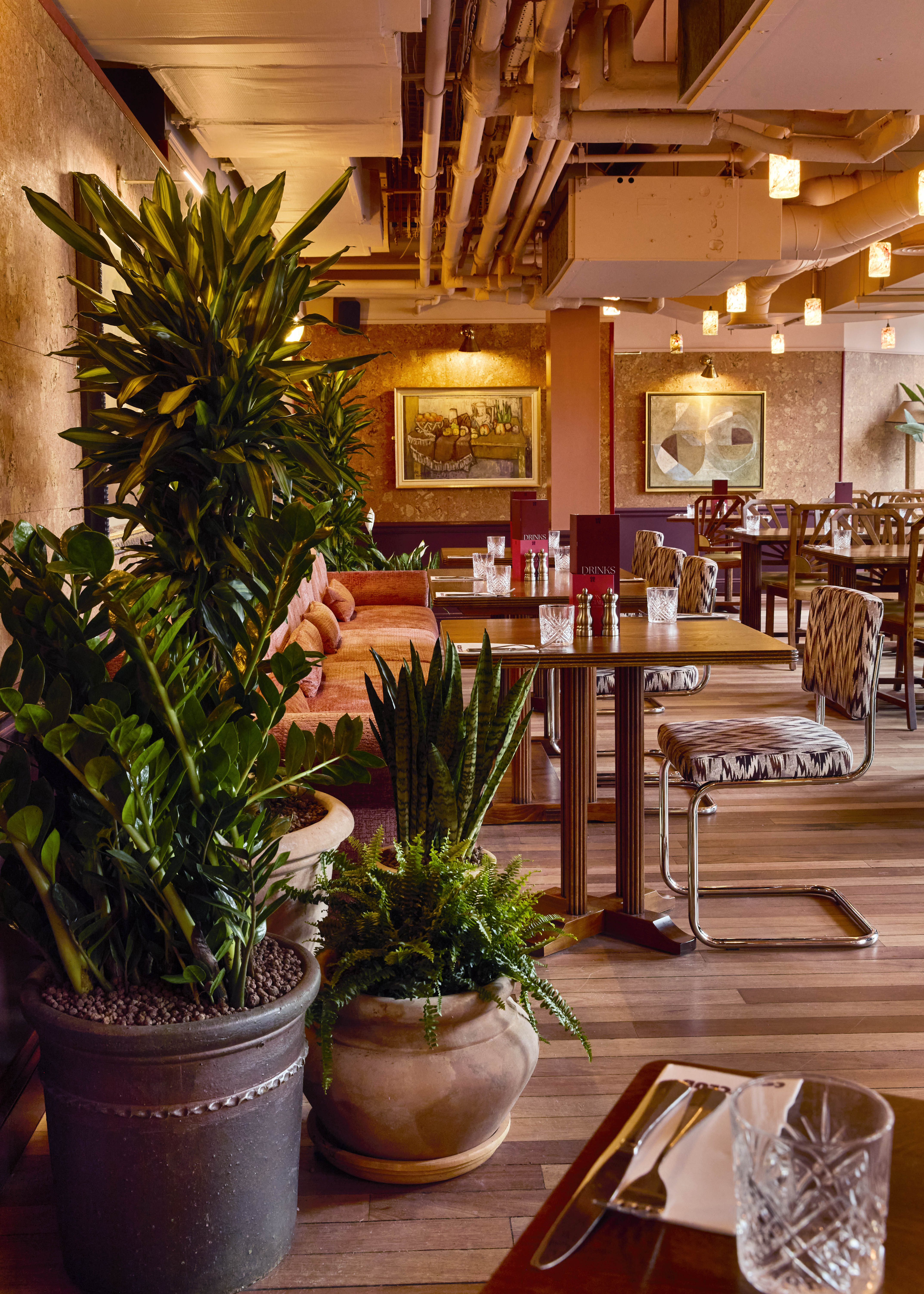 Cosy Club Manchester