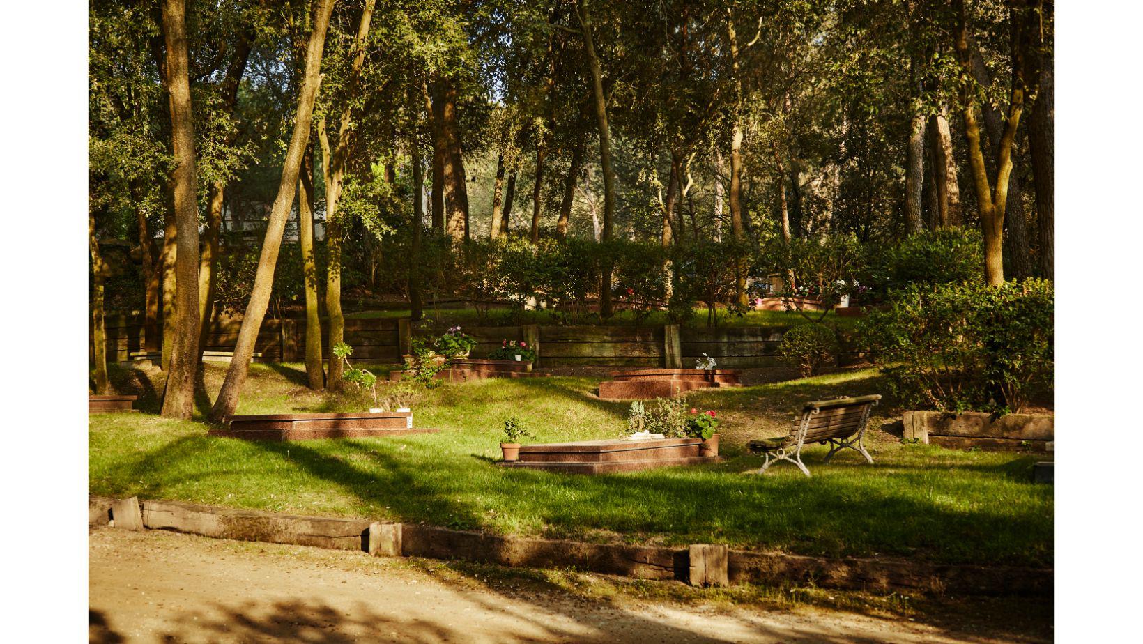 Cementiri Comarcal Roques Blanques 65