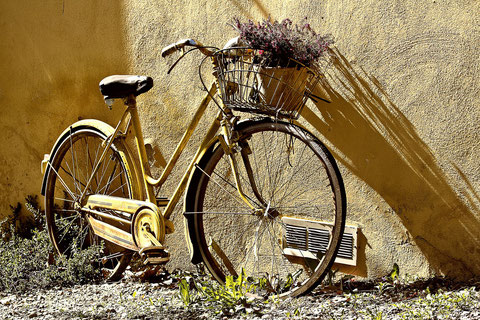 Bilder Fahrrad -Hobby Inh. T. Breu
