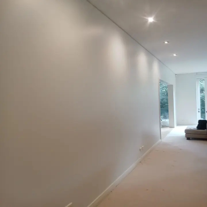 Images Flexible Painting Service