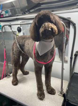 Images Kontota of NW Austin, TX