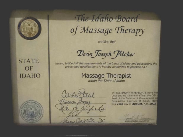 Images Wise Wolf Therapy