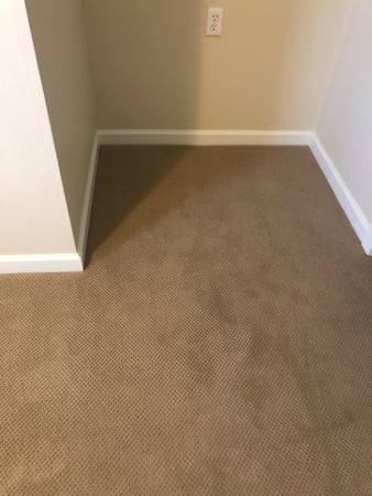 Images Carpet Pro Carpet Cleaning & Dyeing