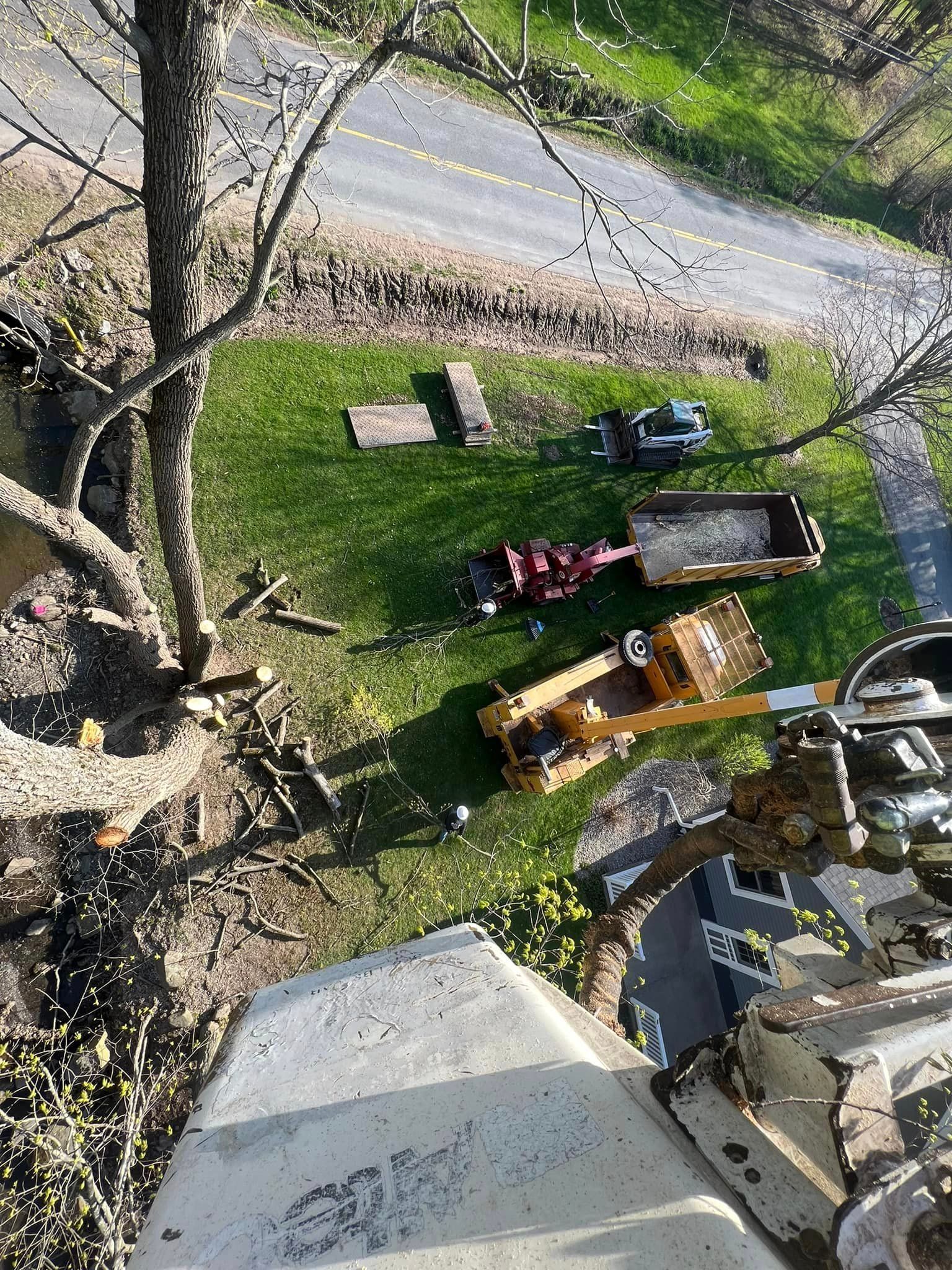 J & J Tree Services Image