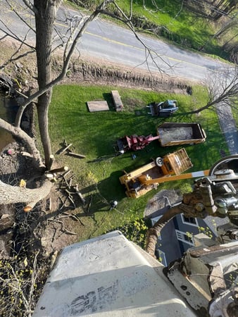 Images J & J Tree Services