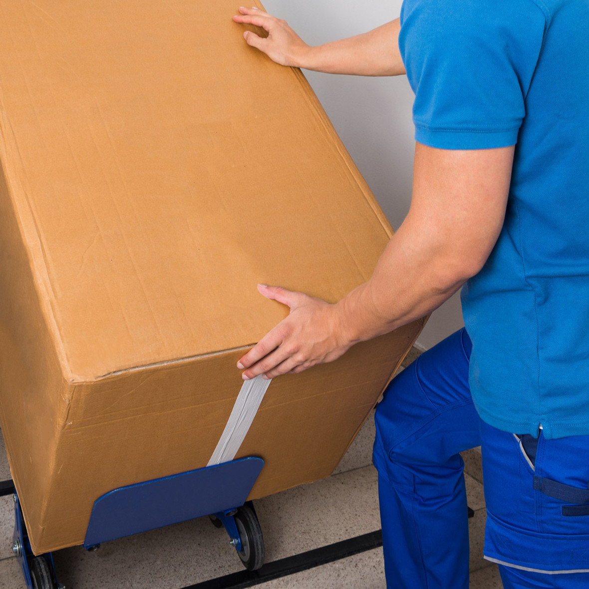 Dianit AG, Widenholzstrasse 8 in Wallisellen