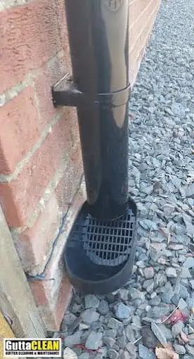 Images Guttaclean Ltd