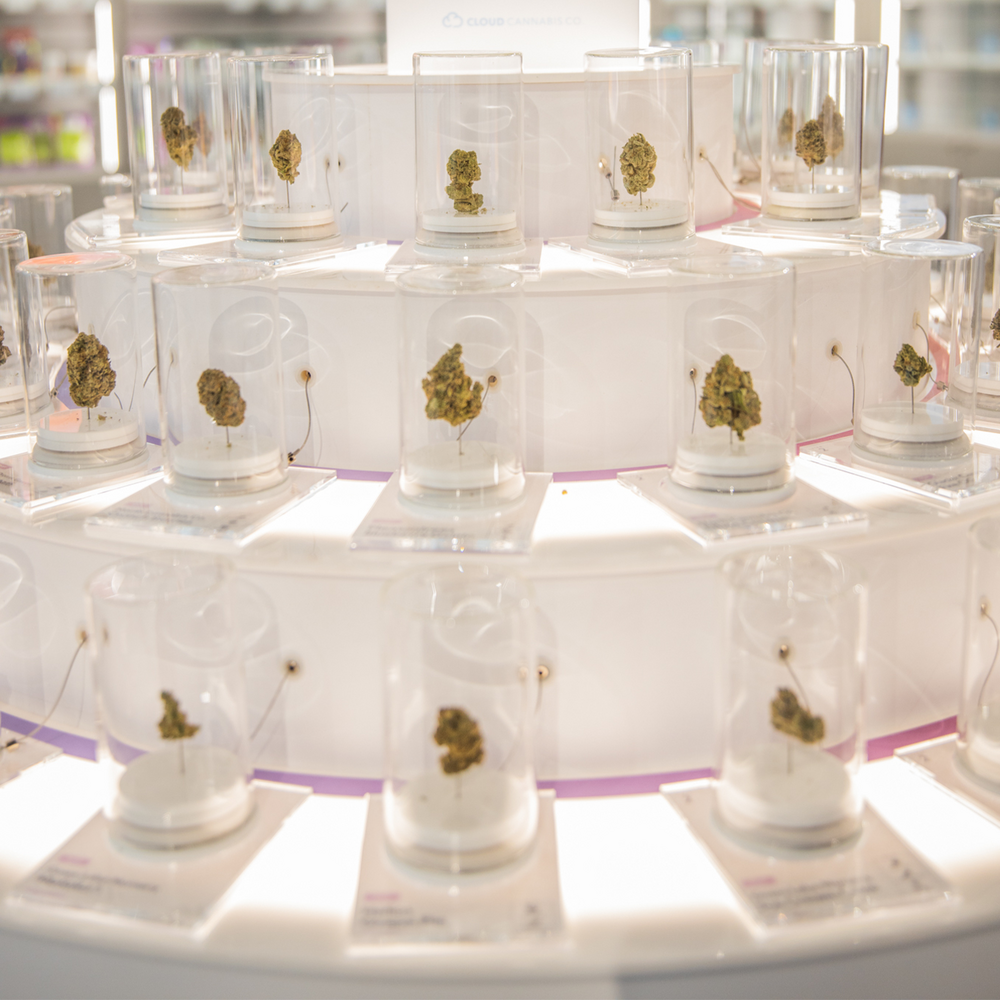 Cloud Cannabis Weed Dispensary Ann Arbor