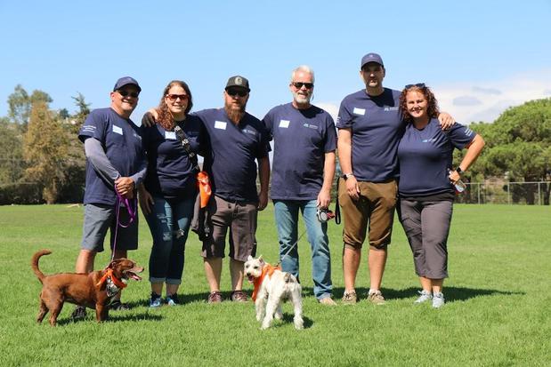 Images August Roofing & Solar