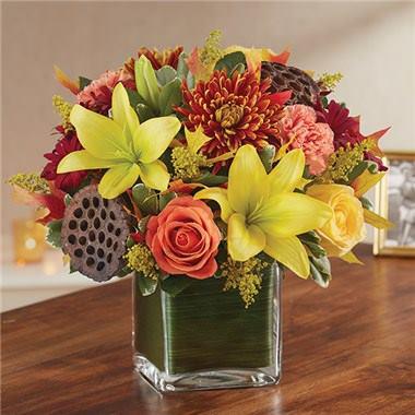 Images Conroy's Flowers - Encino