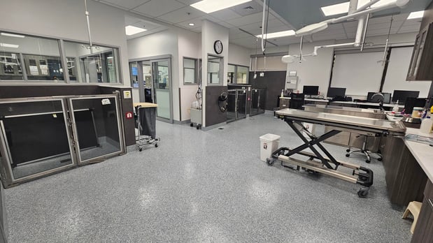 Images VCA Emergency Animal Hospital & Referral Center