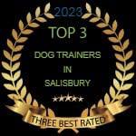 Salisbury Dog Trainers Salisbury 07578 359621