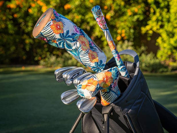 Images Ace of Clubs - East Mesa