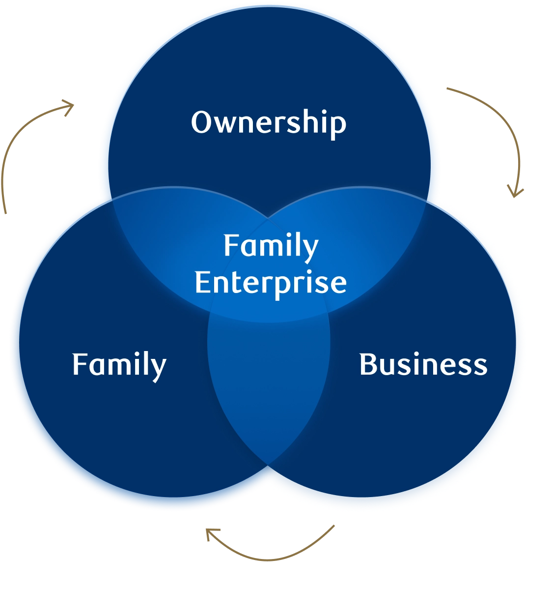 Venn diagram illustrating the intersection of family, business and ownership.