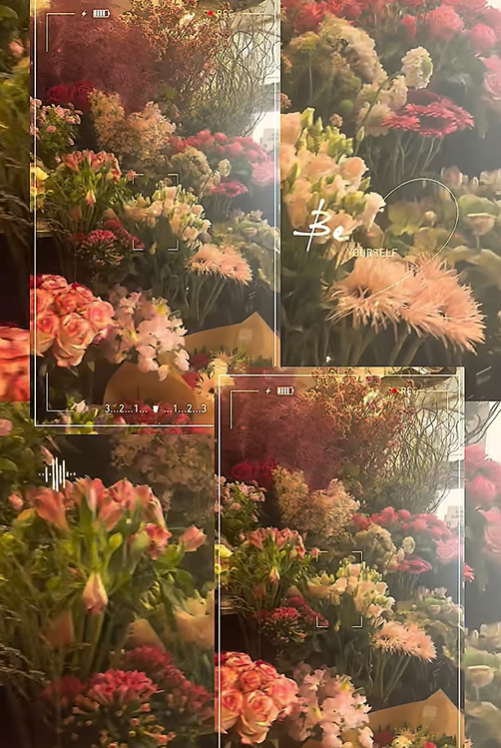 Bilder Fleuriste de la Halle