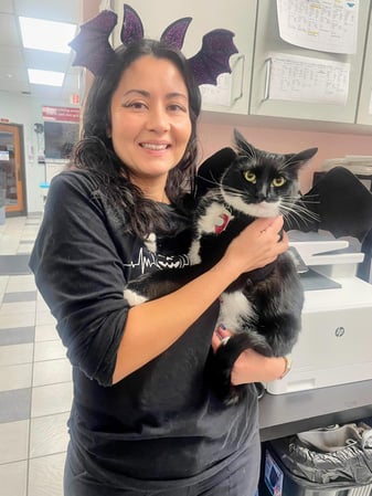 Images VCA Preston Park Animal Hospital