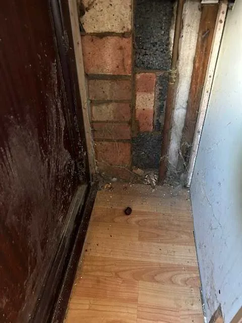 Images Ambiente FM Ltd