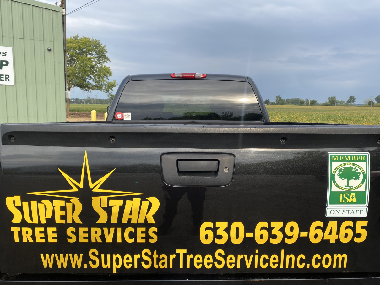 Super Star Tree Service Inc - West Chicago, IL - (630)639-6465 | ShowMeLocal.com