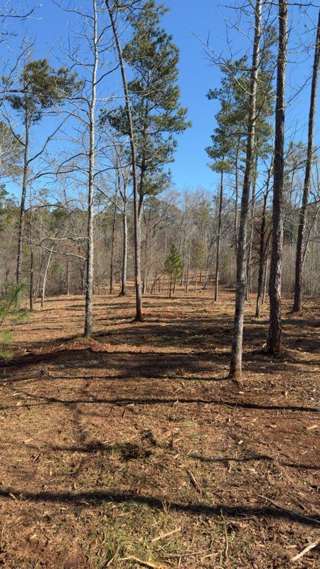 Oaks Land Solutions Image