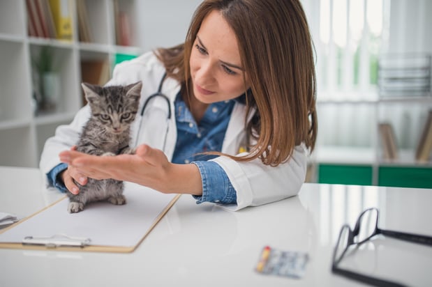Images Banfield Pet Hospital