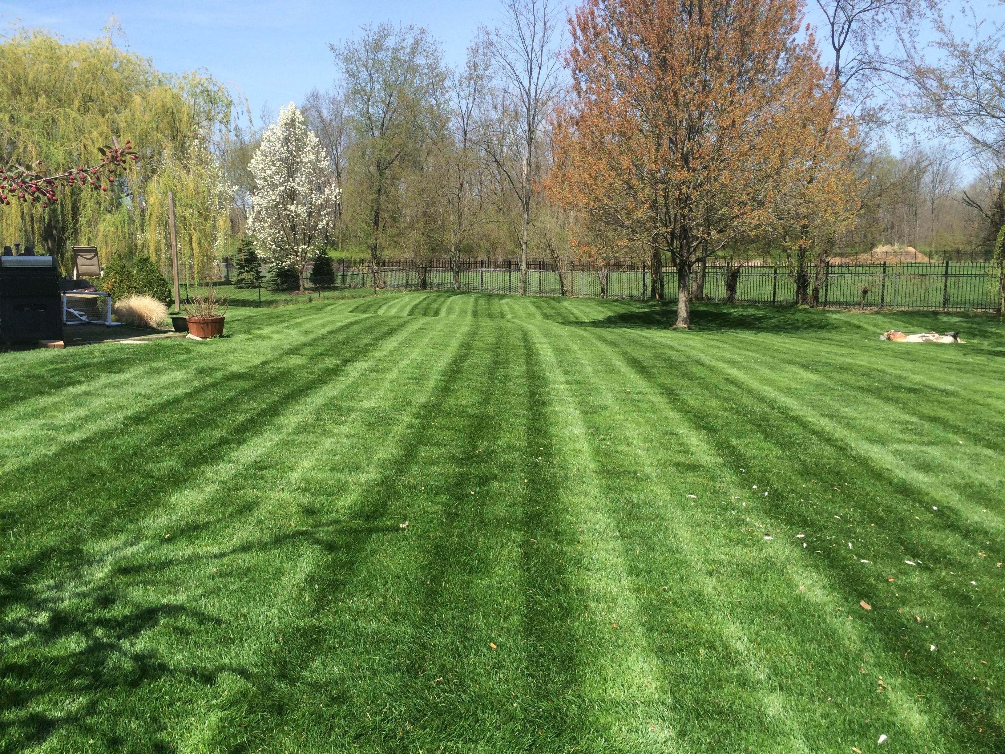 Select Lawn Services, LLC