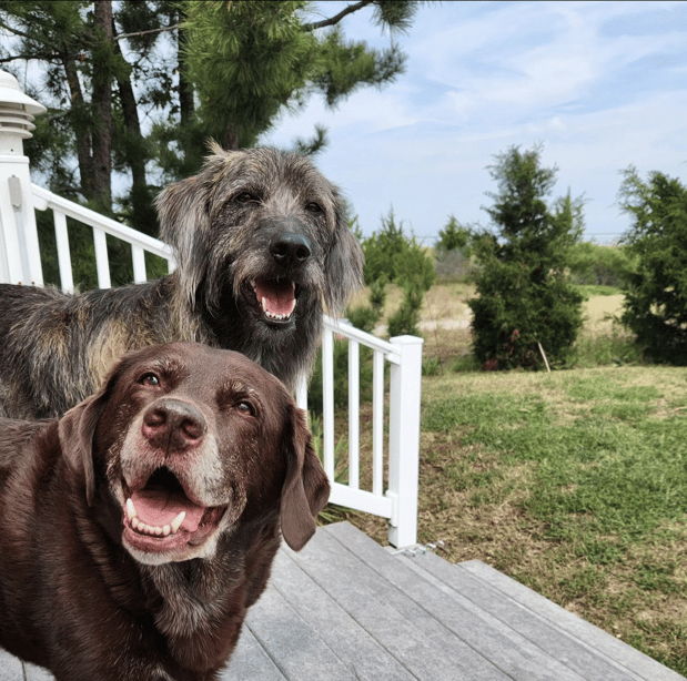 Images Cindy Donaldson: Allstate Insurance