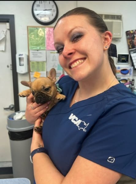 Images VCA Wingate Animal Hospital