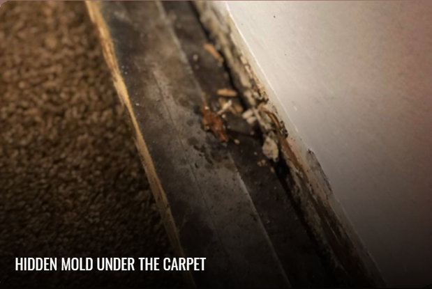 Images California Healthy Home Inspections