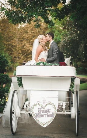 Images Matthew Blassey Photography