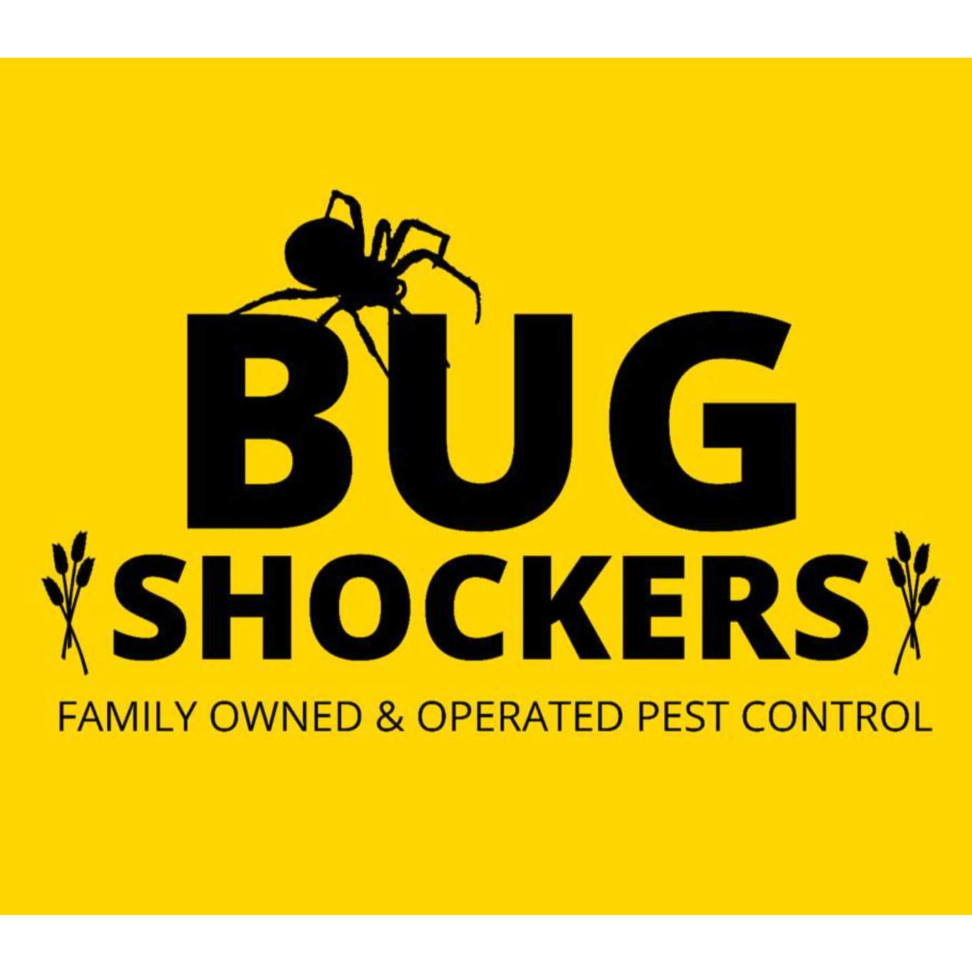 Bug Shockers Logo