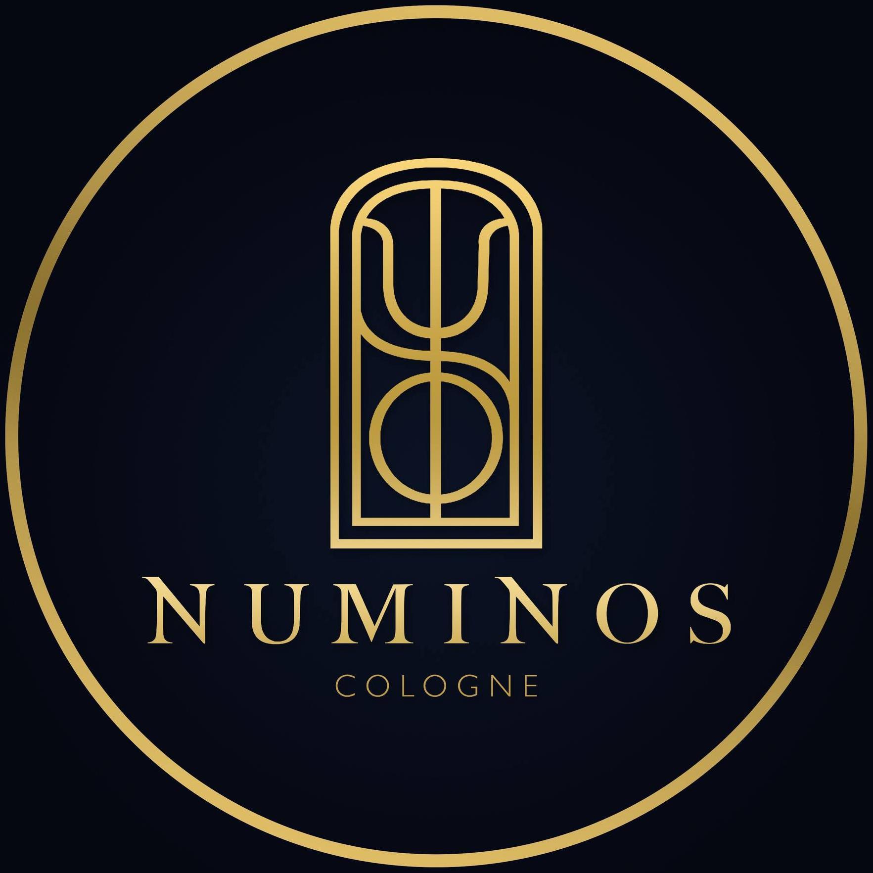 Numinos GmbH in Köln - Logo