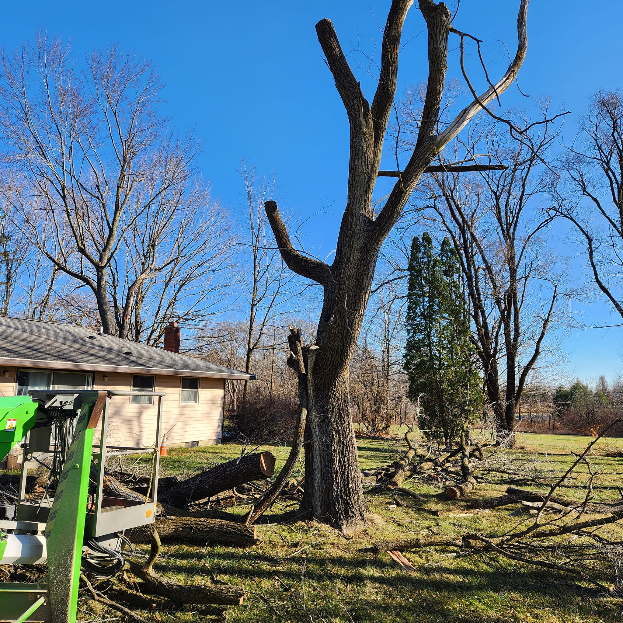 Milks Tree Service Inc Image