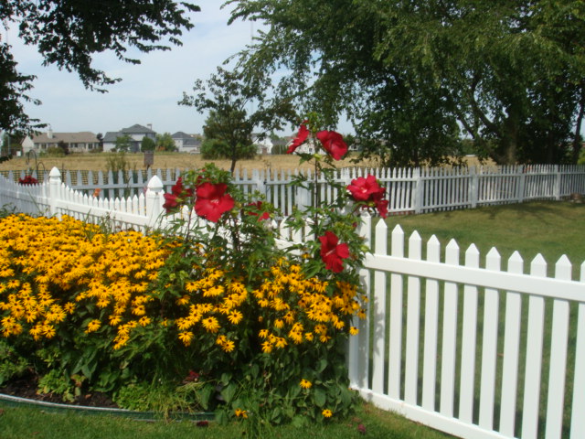 Images AAA Fence LLC