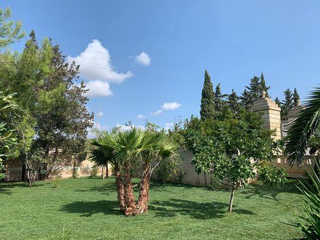 Images Il Punto Verde