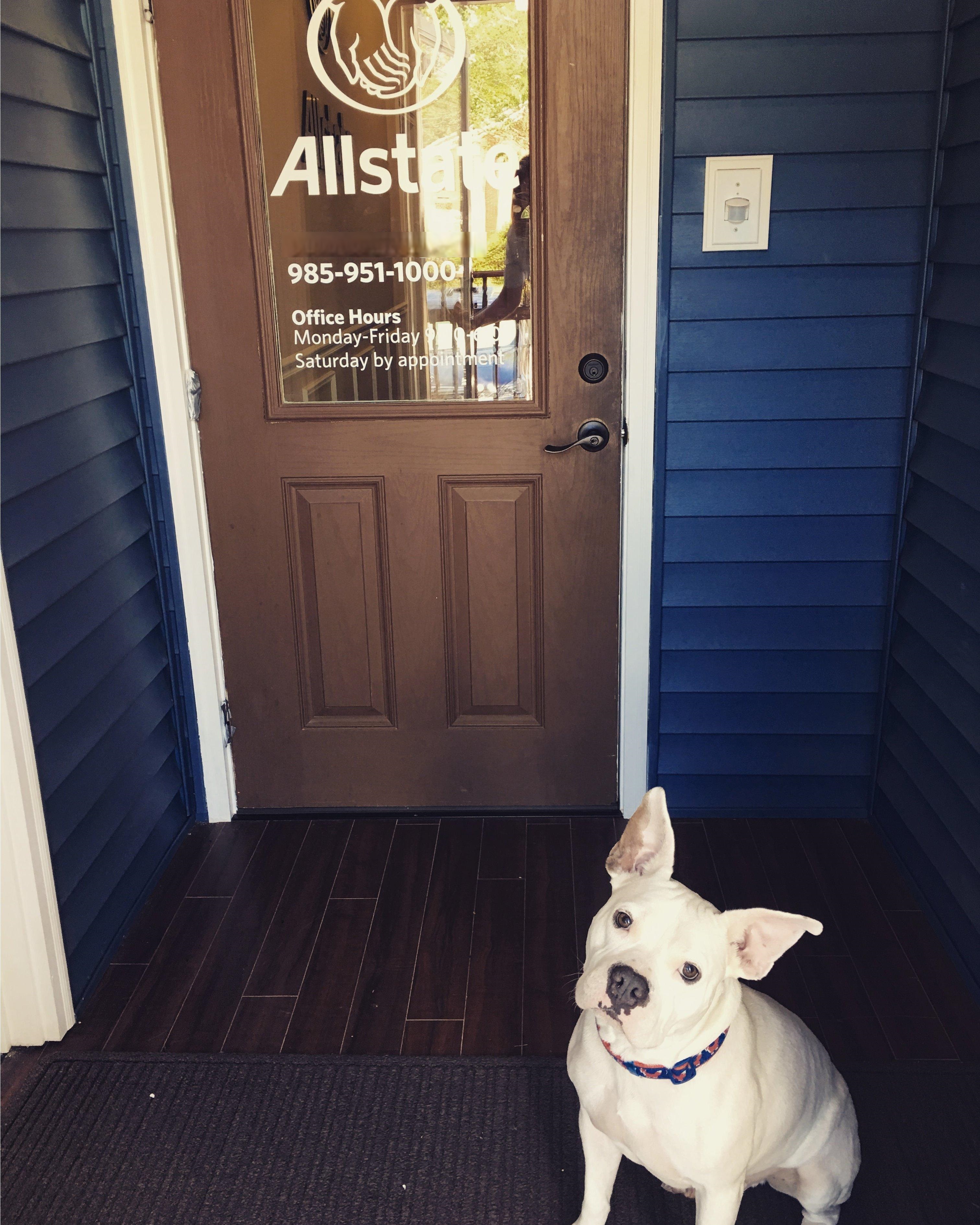 Sully ready to save you money and get you better coverage at our agency! This was our 1st location in Abita Springs but we have since moved to Mandeville