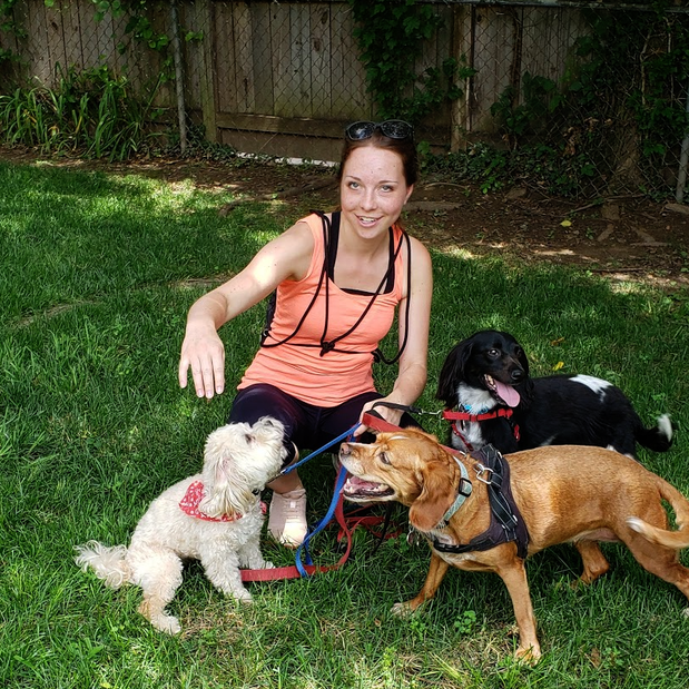 Images Danny's Pet Care LLC