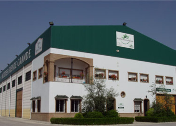 Images Gomeoliva