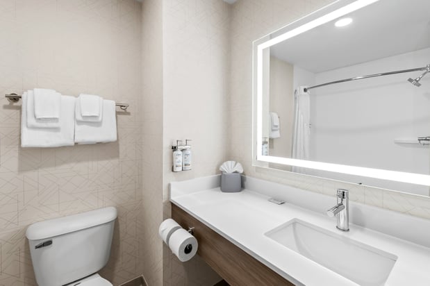 Images Holiday Inn Express & Suites Council Bluffs - Conv Ctr Area by IHG