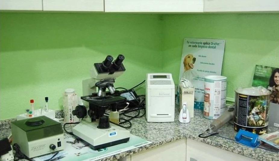Images Clinica Veterinaria Ramon Y Cajal