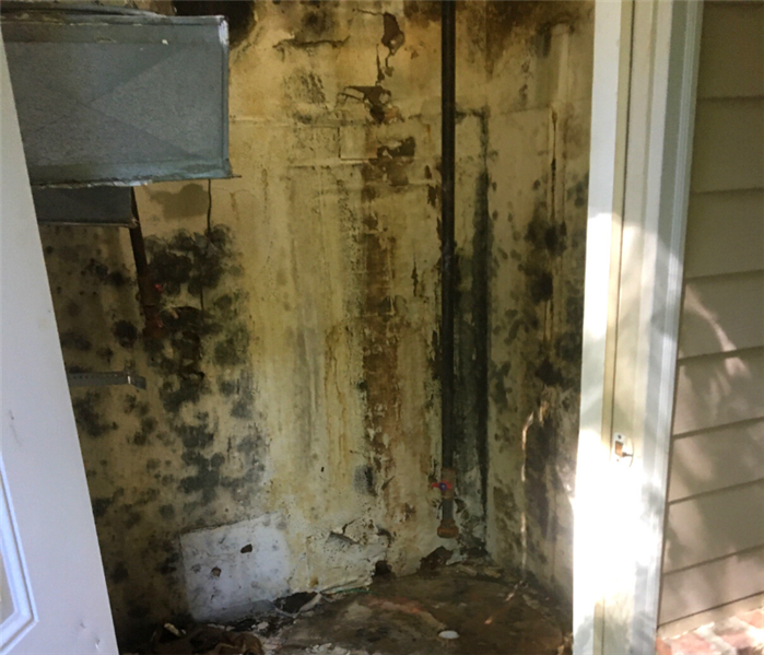Mold caused by a leaking HVAC unit in East Haven, Connecticut.