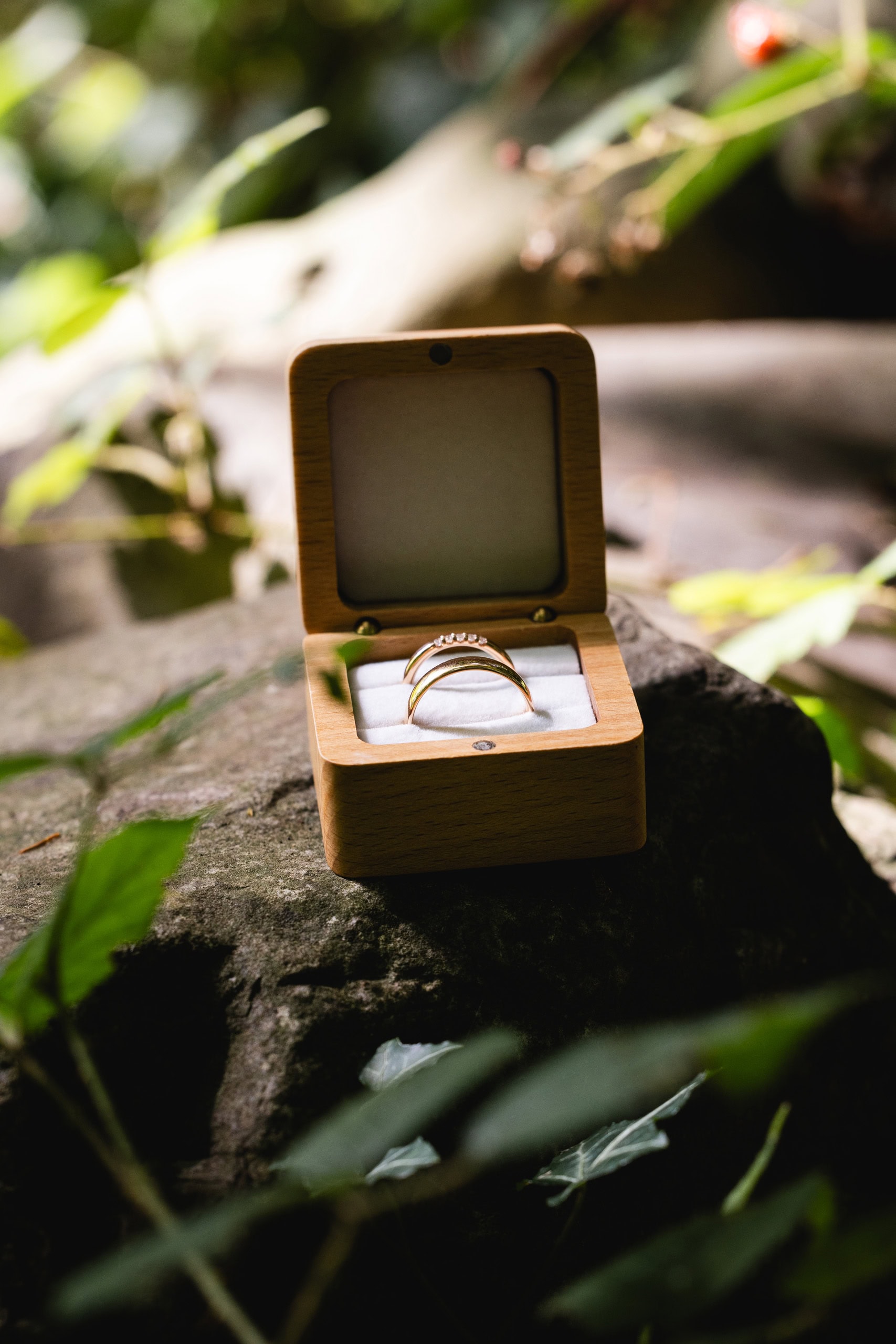 Bild 1 von Forte Moments | Hochzeitsfotograf & Eventfotograf