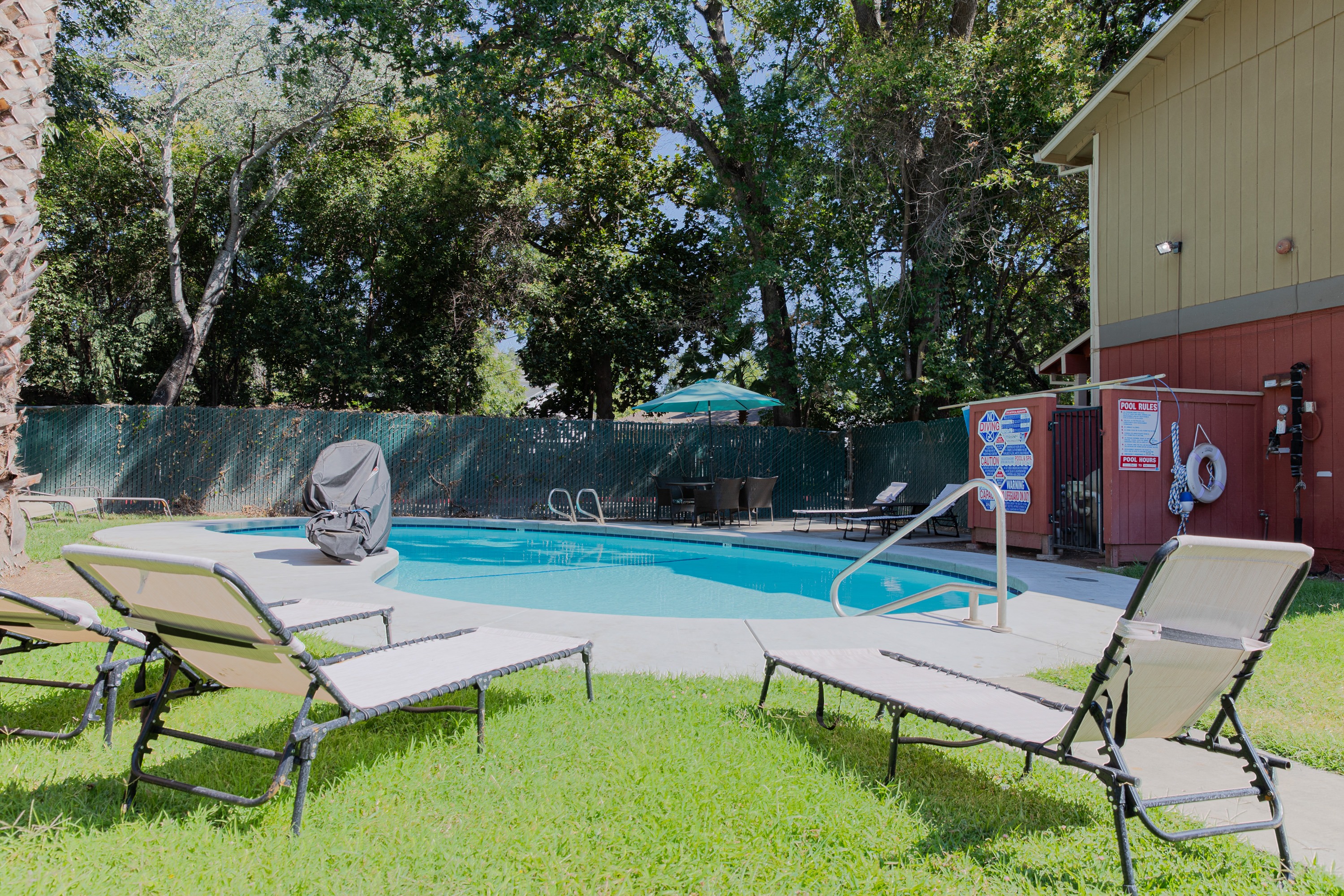 Poolside Relaxing Chairs