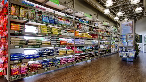 Images CityVet | Frisco